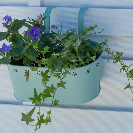 Bed & Breakfast Lagarolina Del Conero